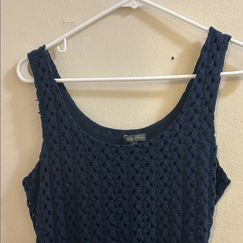 Lily Rose Navy Lace Dress - Picture 3 of 9